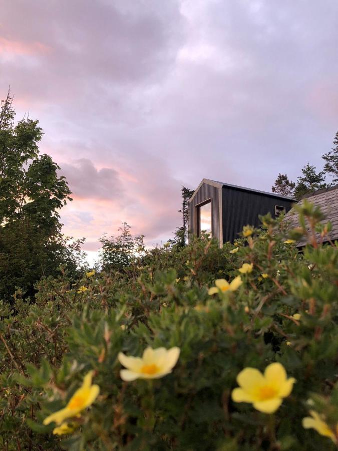 Tiny Home In Isle Of Skye-Pet Friendly Elgol Exterior foto