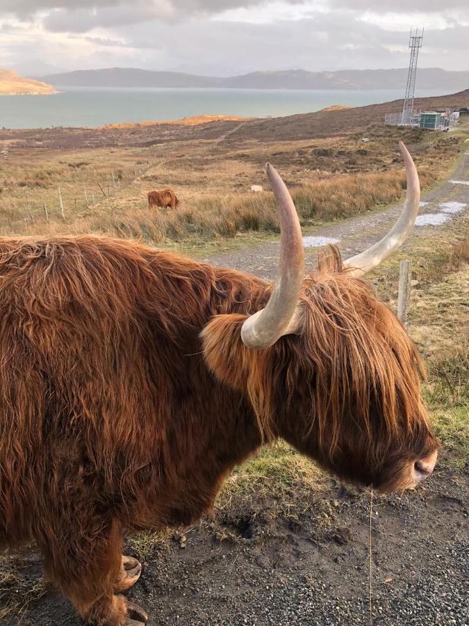 Stunning 1-Bed Tiny Home In Isle Of Skye Elgol Exterior foto